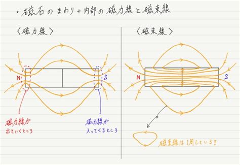 磁力線切線方向|高中物理